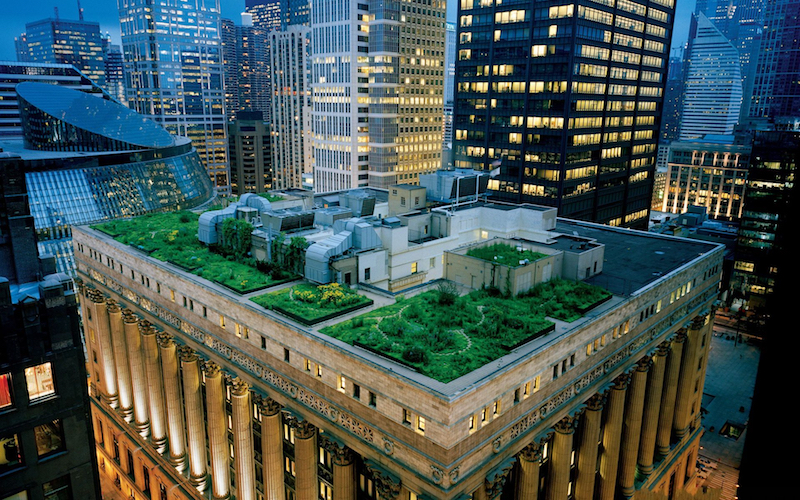 Зеленые крыши и вертикальные сады: интеграция природы в городское жилье